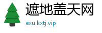 遮地盖天网